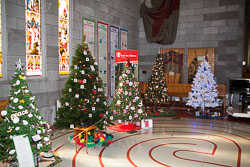 Nelson_Cathedral_019.jpg