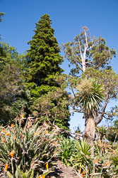 Nelson_Cathedral_046.jpg