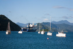 Picton_-003.jpg
