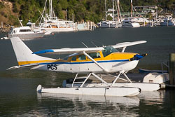 Picton_-011.jpg