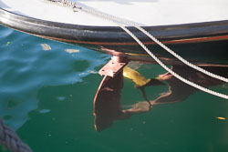 Picton_-017.jpg