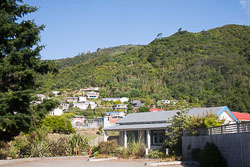 Picton_-031.jpg