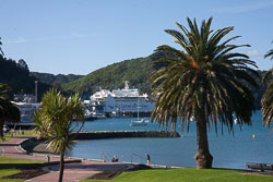 Picton_-041.jpg
