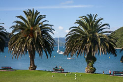 Picton_-045.jpg