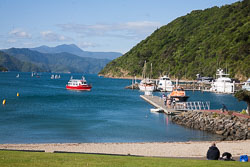 Picton_-049.jpg