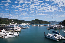 Picton_-067.jpg