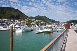 Picton_-087.jpg