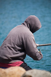 Picton_-093.jpg