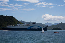 Picton_-099.jpg