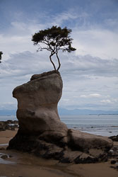 Tin_Line_Bay_020.jpg