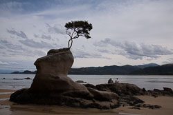 Tin_Line_Bay_022.jpg