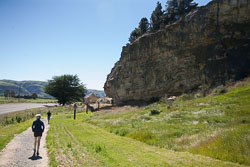 Maori_Cave_Drawings_-003.jpg