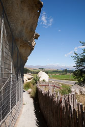 Maori_Cave_Drawings_-017.jpg