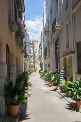 Blanes-046.jpg