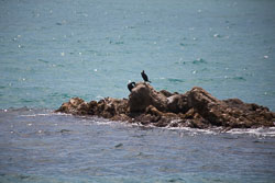 Blanes-056.jpg