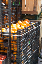 Market_Tossa_de_Mar-003.jpg