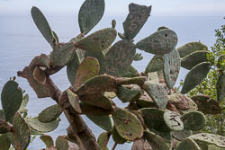 Mount_Guardí_Tossa_de_Mar-005.jpg