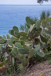 Mount_Guardí_Tossa_de_Mar-008.jpg