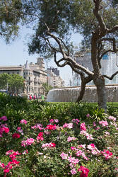 Place_de_Catalunia_Barcelona-021.jpg