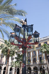 Plaça_Reial_Barcelona-017.jpg