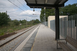 Todera-002.jpg