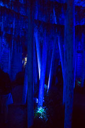 Flower_Festival_Crypt_Cathedral_Girona-001.jpg
