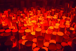 Flower_Festival_Crypt_Cathedral_Girona-008.jpg