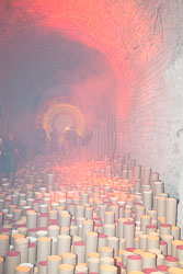 Flower_Festival_Crypt_Cathedral_Girona-010.jpg