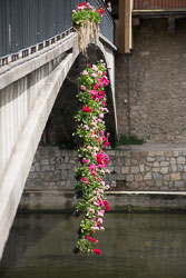 Flower_Festival_Girona-010.jpg