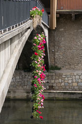 Flower_Festival_Girona-011.jpg