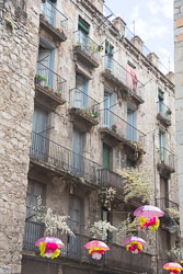 Flower_Festival_Girona-013.jpg