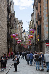 Flower_Festival_Girona-014.jpg