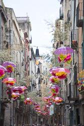 Flower_Festival_Girona-015.jpg