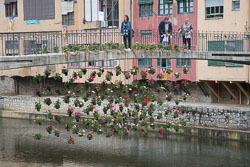 Flower_Festival_Girona-026.jpg