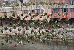 Flower_Festival_Girona-027.jpg