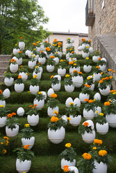 Flower_Festival_Girona-050.jpg