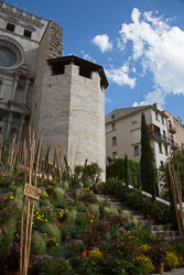 Flower_Festival_Girona-052.jpg