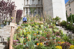 Flower_Festival_Girona-053.jpg