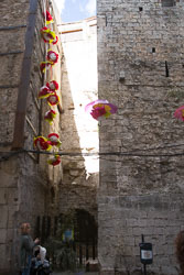 Flower_Festival_Girona-055.jpg