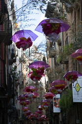 Flower_Festival_Girona-056.jpg