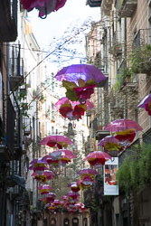 Flower_Festival_Girona-057.jpg
