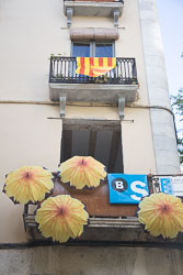 Flower_Festival_Girona-058.jpg