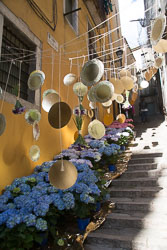 Flower_Festival_Girona-059.jpg