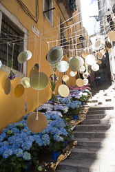 Flower_Festival_Girona-060.jpg