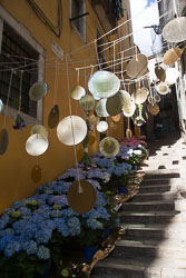 Flower_Festival_Girona-061.jpg
