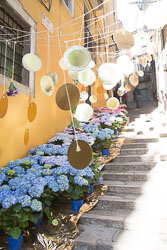 Flower_Festival_Girona-062.jpg