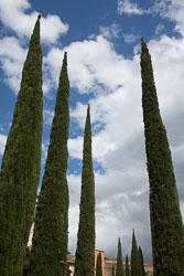 Girona-276.jpg
