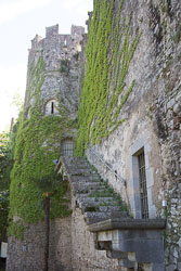 Força_Vella_Girona-007.jpg