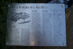 Roman_Villa_of_Ametllers_Tossa_de_Mar-001.jpg