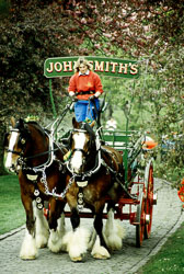 Horse_014.jpg
